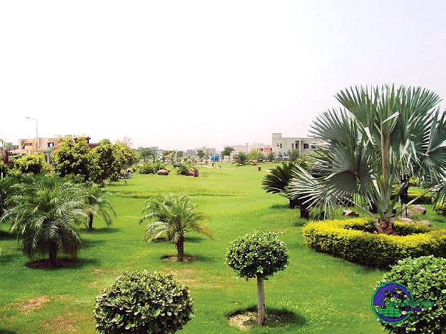 lahore s weather and water is fertile and plantations tend to grow in a regulated manner photo file lahore s weather and water is fertile and plantations tend to grow in a regulated manner photo file