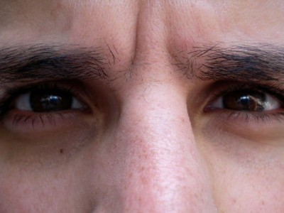 the capital vulture the hills have eyes the capital vulture the hills have eyes