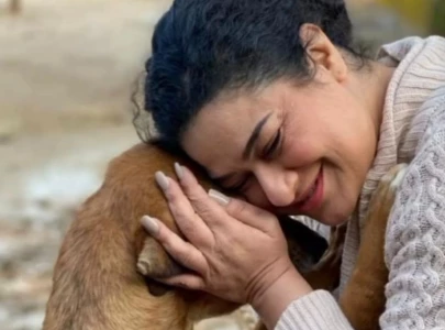 a society that doesn t respect its children can never be empathetic towards animals sania saaed a society that doesn t respect its children can never be empathetic towards animals sania saaed