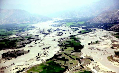 71 rice crop destroyed in khyber pakhtunkhwa 71 rice crop destroyed in khyber pakhtunkhwa