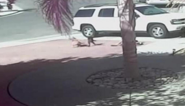 screengrab of the incident from the youtube video screengrab of the incident from the youtube video