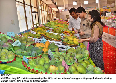 exporting mangoes