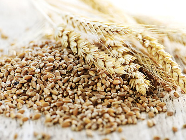large private corporations that control the grain market are responsible for the global food crisis photo file large private corporations that control the grain market are responsible for the global food crisis photo file