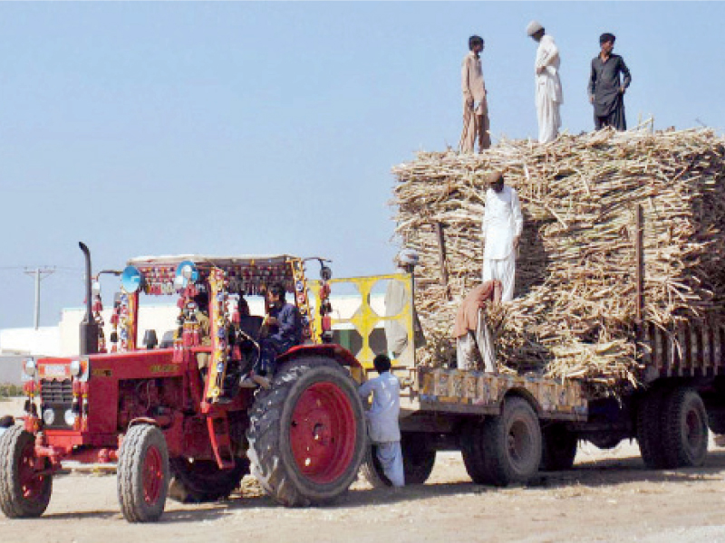 sugarcane mills only have to pay rs10 to get a licence to set up a mill an mpa has formed a private bill to revise the fee photo file