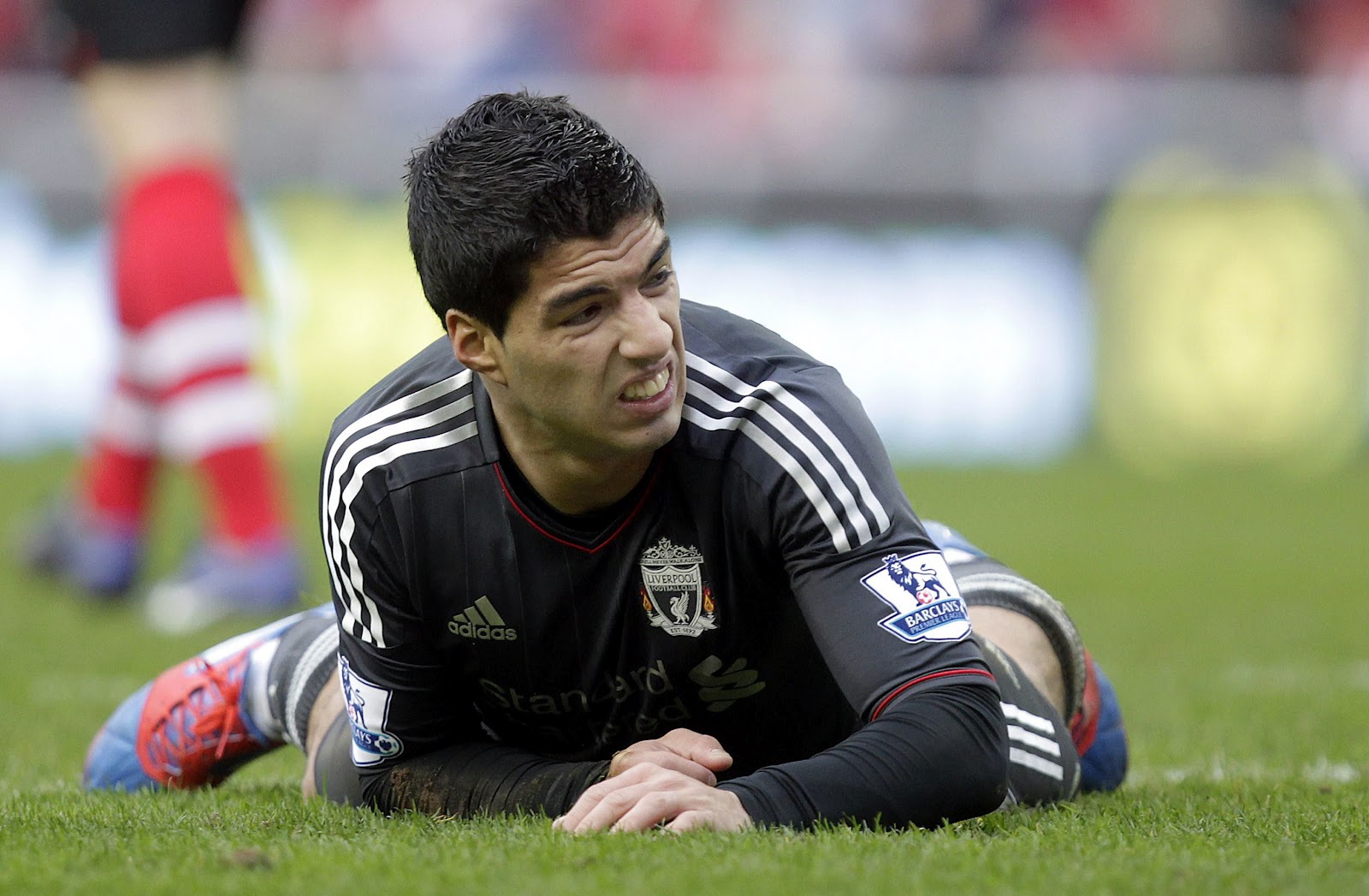 liverpool 039 s luis suarez premier league player of the year injured his knee in training on wednesday to put his world cup presence in doubt photo afp