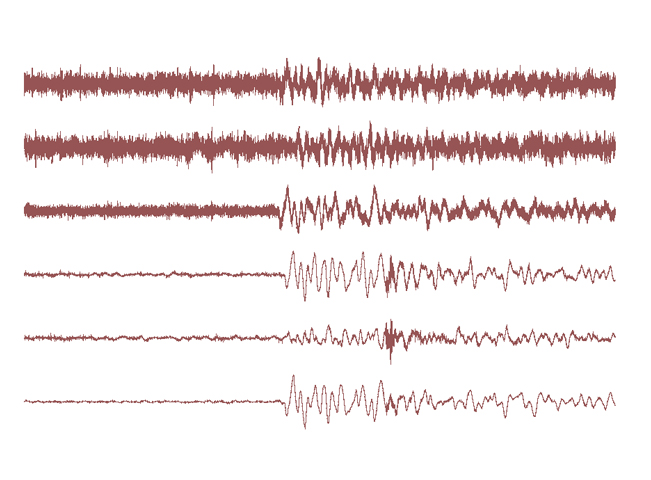 the epicentre and the magnitude of the tremors are known as yet photo creative commons