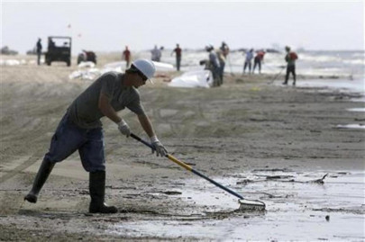 clean up wwf p organises beach cleaning drive