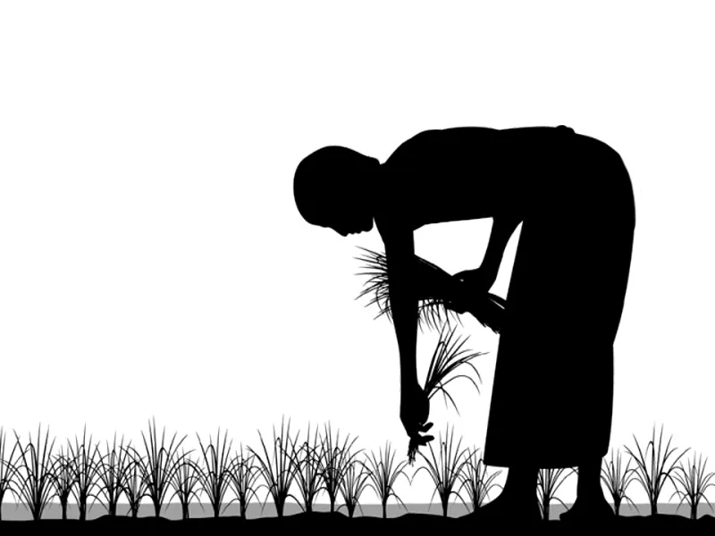 18m acres of farmland lying barren for want of water rahoo 18m acres of farmland lying barren for want of water rahoo