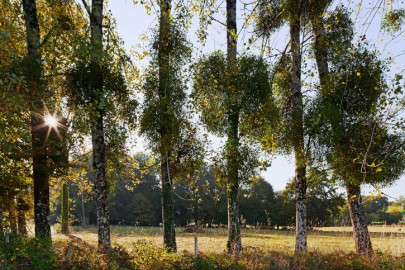 islamabad vs karachi when i came to the dead city islamabad vs karachi when i came to the dead city