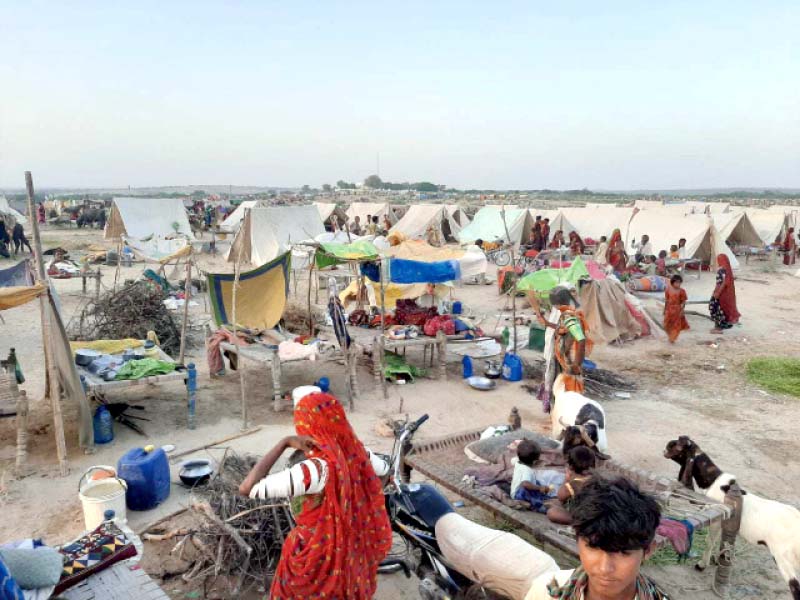 a new tent city has formed on the outskirts of umerkot city with roughly 70 000 families from sanghar mirpurkhas and umerkot districts having found refuge at a desert mound near pakistan chowk umerkot photo express