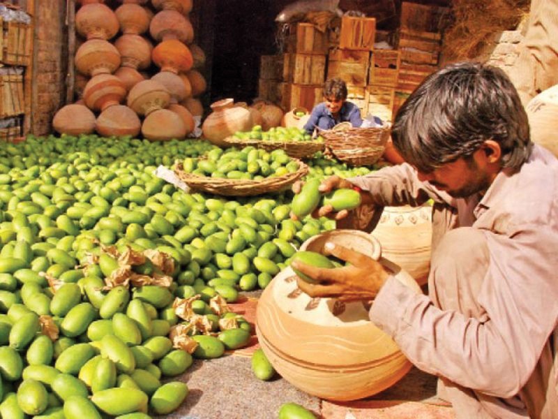 the restrictions on indian products have caused widespread fears among pakistani fruit and vegetable exporters photo file