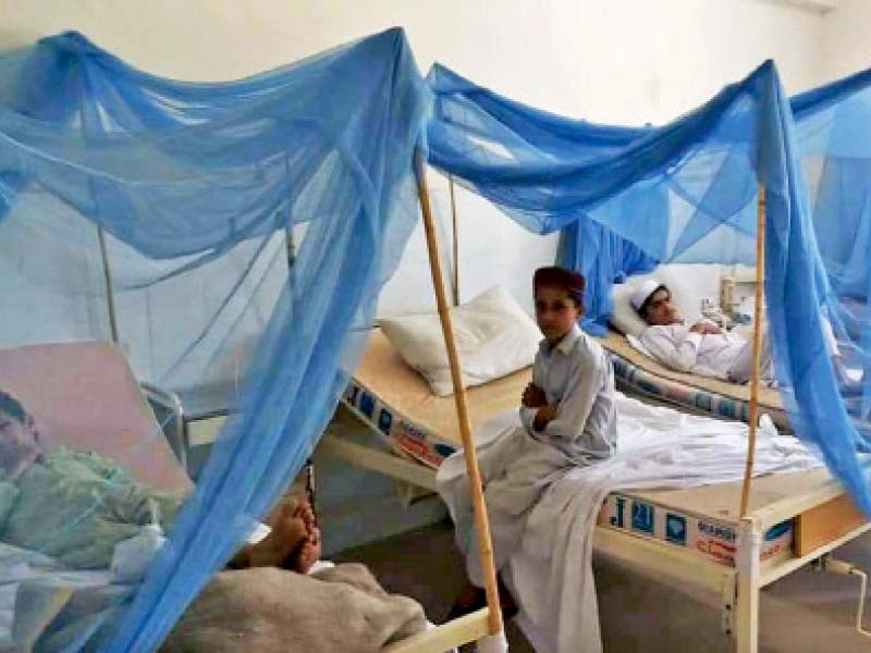 young dengue virus patients undergoing treatment photo ppi