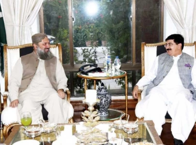 sanjrani in quetta to sort out bap problems
