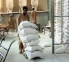 soaring wheat prices trigger flour crisis in ry khan