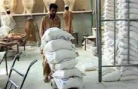 amid a crackdown on wheat transportation in punjab wheat and flour prices have skyrocketed leaving consumers in the lurch photos express file