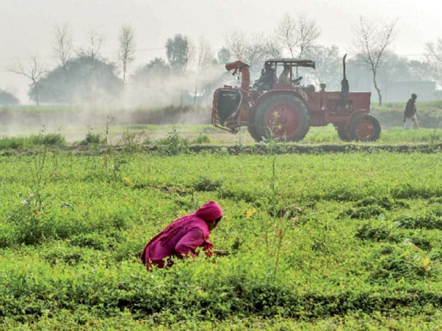 navigating the agriculture sector navigating the agriculture sector
