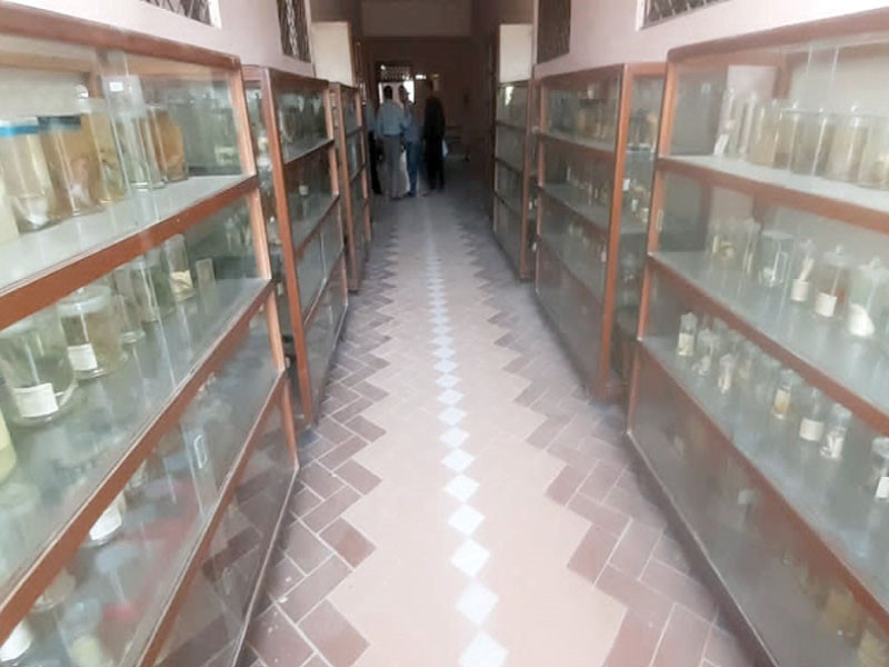 biology laboratory display lies in the lobby of the new building of islamia college due to mismanagement after relocation from the old campus near quaid e azam s mazaar photo express