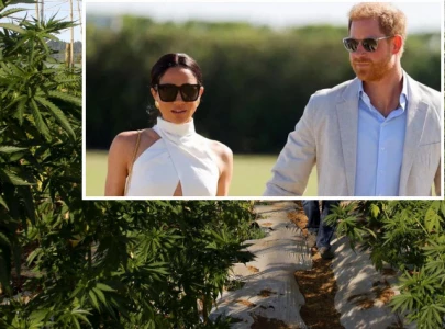 prince harry and meghan markle grappling with cannabis odor problem