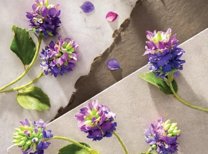 bakuchiol nature s answer to the retinol dilemma