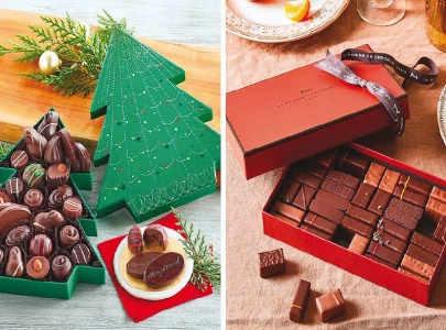 homeward bound december is the most wonderful time of the year homeward bound december is the most wonderful time of the year