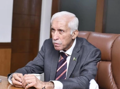 minister courts pakistani investors