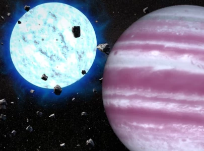 astronomers study exoplanet s survival after star s death astronomers study exoplanet s survival after star s death