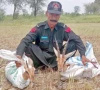 two rare deer recovered from smugglers in khairpur two rare deer recovered from smugglers in khairpur