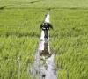 pti demands agricultural emergency