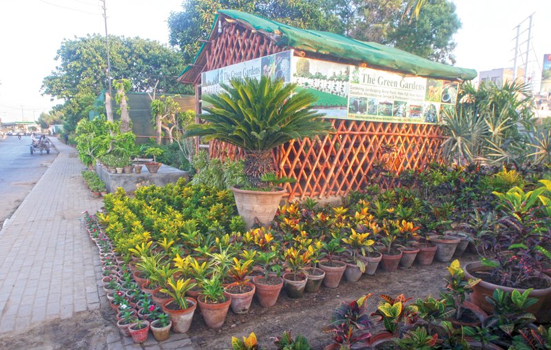 these nurseries established along main thoroughfares in karachi provide a lucrative source of income for their owners besides giving the environment a more pleasant feel photos athar khan express