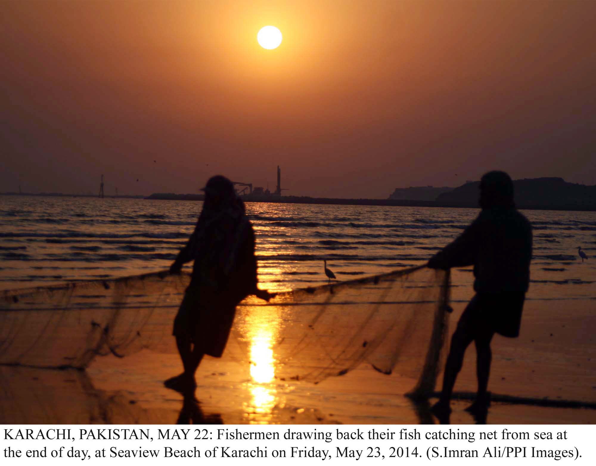 world oceans day 2014 karachi kills more fish than it eats