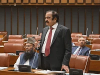 prime minister s adviser on political affairs rana sanaullah photo x file