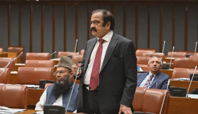 prime minister s adviser on political affairs rana sanaullah photo x file