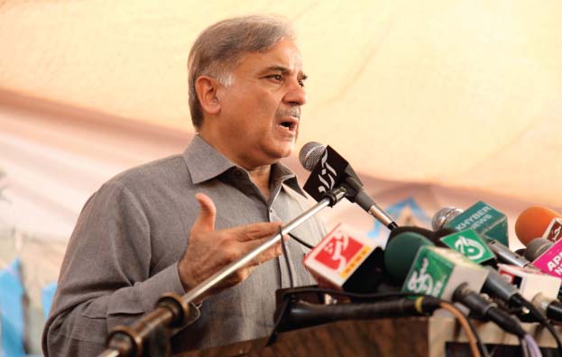 punjab chief minister shahbaz sharif photo nefer sehgal