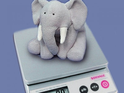 houston zoo puts pregnant elephant on jumbo weight loss plan