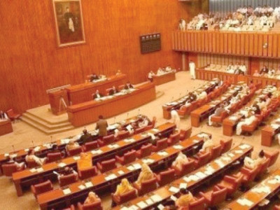 opposition senate panel tries to block power tariff hike