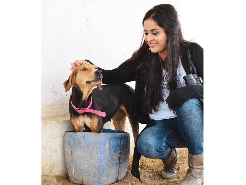 ayesha chundrigar with an acf shelter dog all photos courtesy ayesha chundrigar foundation