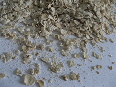 instant oatmeal in breakfast manages hunger better