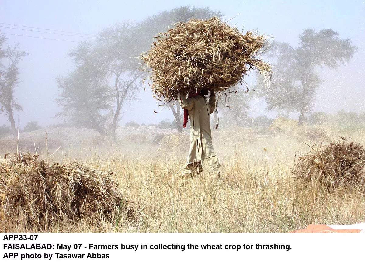 agriculture department planned to establish a research farm on motorway but the plan is yet to materialise photo app file agriculture department planned to establish a research farm on motorway but the plan is yet to materialise photo app file