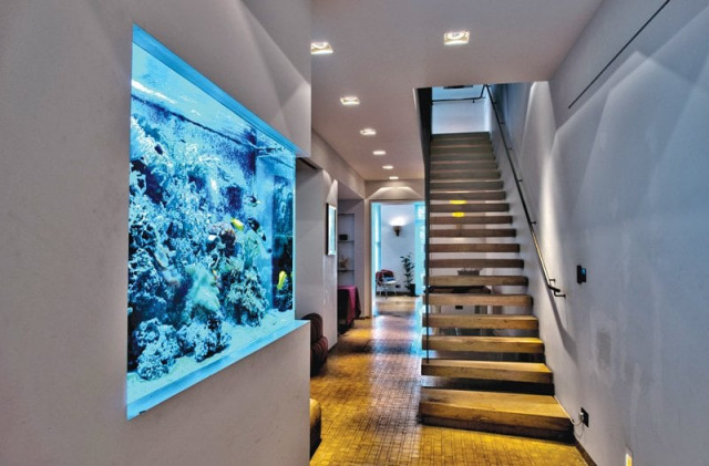 aquariums are a great way of incorporating nature into the house photos file aquariums are a great way of incorporating nature into the house photos file