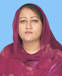 jui f mna questions why minorities could not be pm or president jui f mna questions why minorities could not be pm or president