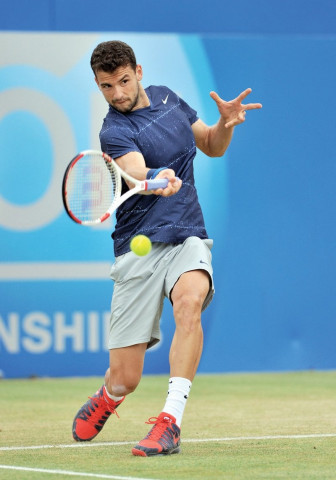 dimitrov who reached his first grand slam quarter final at the australian open this year is eyeing a shot at one of the other majors photo afp dimitrov who reached his first grand slam quarter final at the australian open this year is eyeing a shot at one of the other majors photo afp
