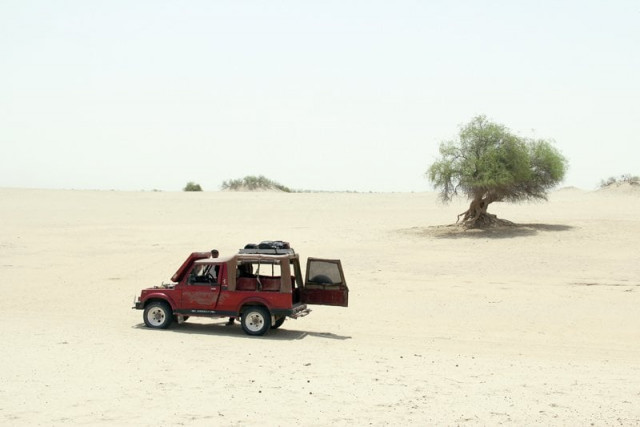 hardly 10 000 acres are covered in trees in sindh today around 1 5 milion acres were covered with forests in the past photo file hardly 10 000 acres are covered in trees in sindh today around 1 5 milion acres were covered with forests in the past photo file