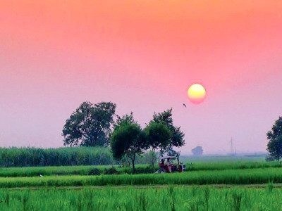 severe fire danger for australia as temperatures smash records