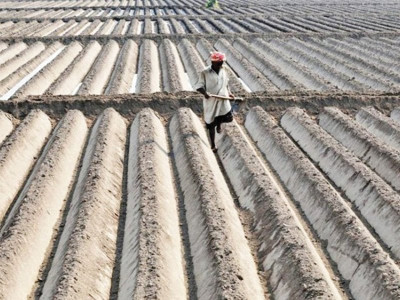 11mfy14 agriculture credit clocks in at rs334 7b 11mfy14 agriculture credit clocks in at rs334 7b