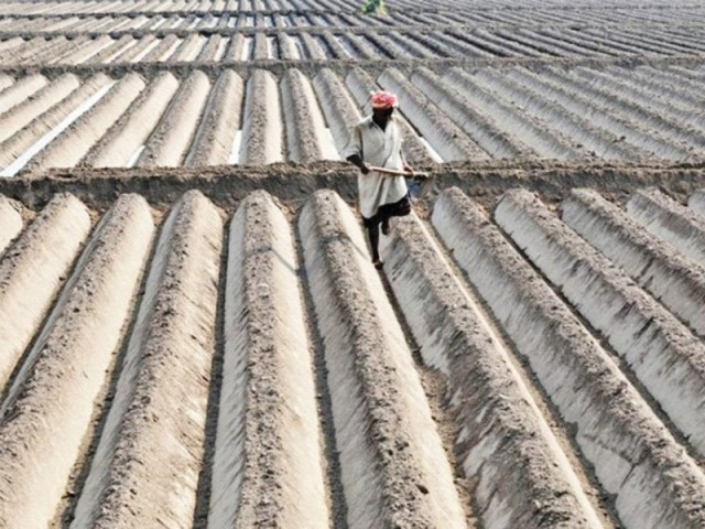 the outstanding portfolio of agricultural loans has increased by rs30 3 billion or 12 3 photo file the outstanding portfolio of agricultural loans has increased by rs30 3 billion or 12 3 photo file