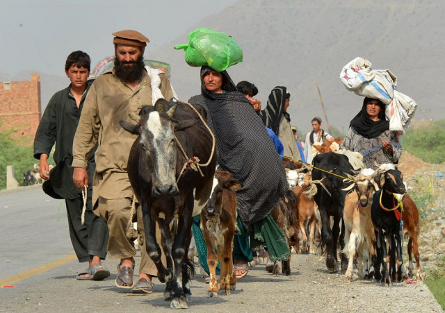 civilians fleeing from a military operation in north waziristan tribal agency arrive with their livestock in bannu district on june 20 2014 photo afp civilians fleeing from a military operation in north waziristan tribal agency arrive with their livestock in bannu district on june 20 2014 photo afp
