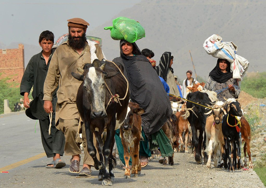 civilians fleeing from a military operation in north waziristan tribal agency arrive with their livestock in bannu district on june 20 2014 photo afp