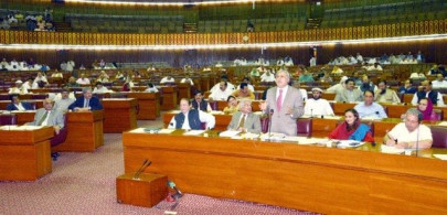 national assembly passes finance bill