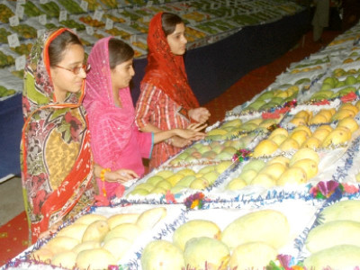 enter the king of fruits rahim yar khan goes mangoes enter the king of fruits rahim yar khan goes mangoes