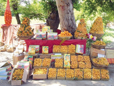 fruit exports new technology to eliminate contamination risks fruit exports new technology to eliminate contamination risks